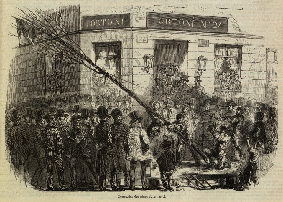 Destruction des arbres de la liberté
