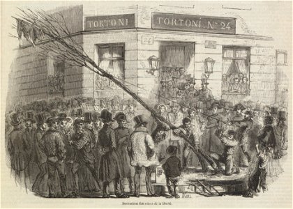 Destruction des arbres de la liberté