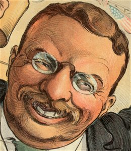 Detail, Chicago, June 21, 1904 - All in favor of the nomination will say aye! - Keppler. LCCN2011645542 (cropped)