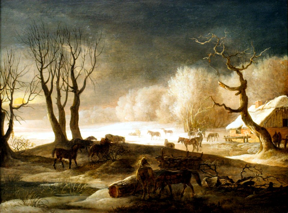 Det vilde stutteri
