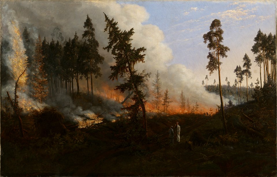 Dmachauskas-skogsbrand