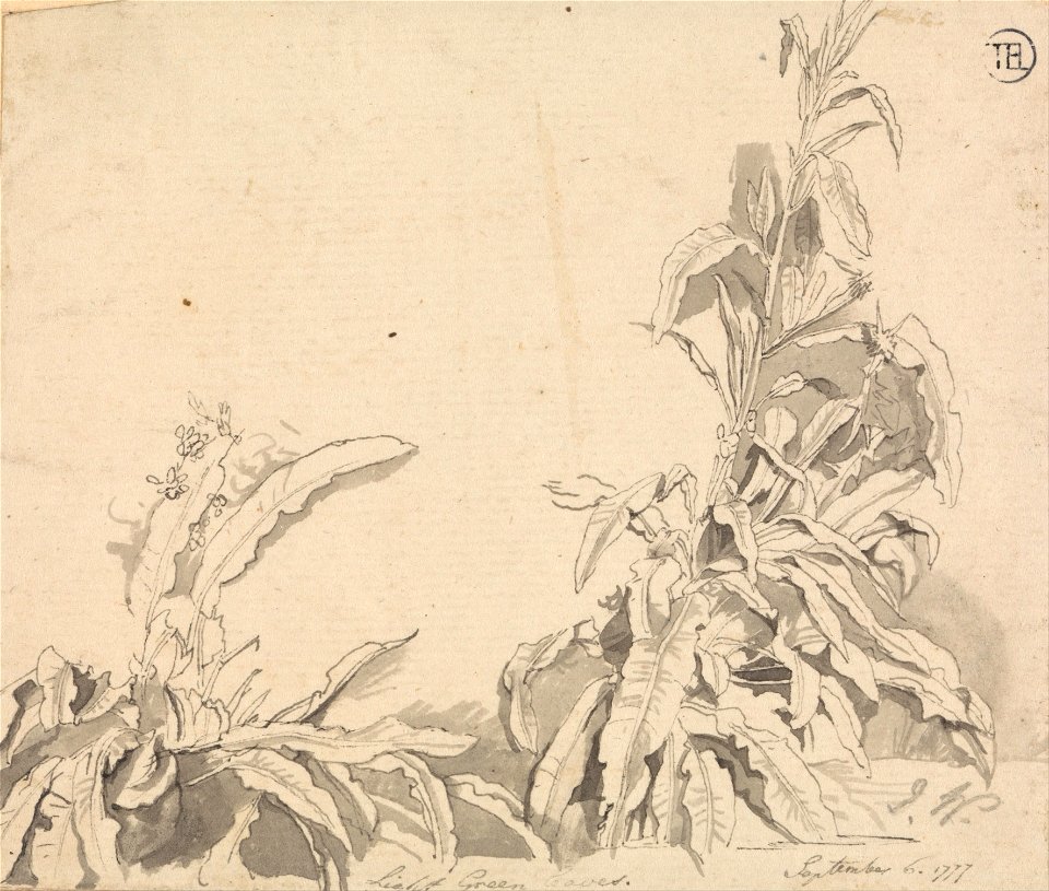 Docks, September 6, 1777 - Google Art Project