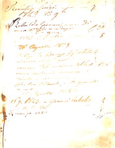 Documenti relativi alla famiglia Nasi