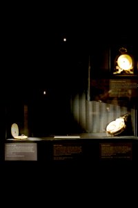 Dokumentation, Livrustkammarens basutställning, Rum C - Livrustkammaren - 50994