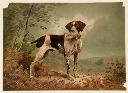 Dog LCCN2003680077