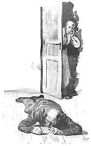 Doktór Muchołapski p013