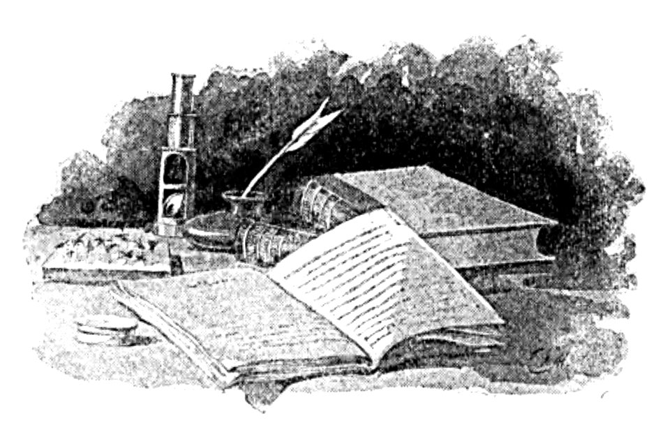 Doktór Muchołapski p076