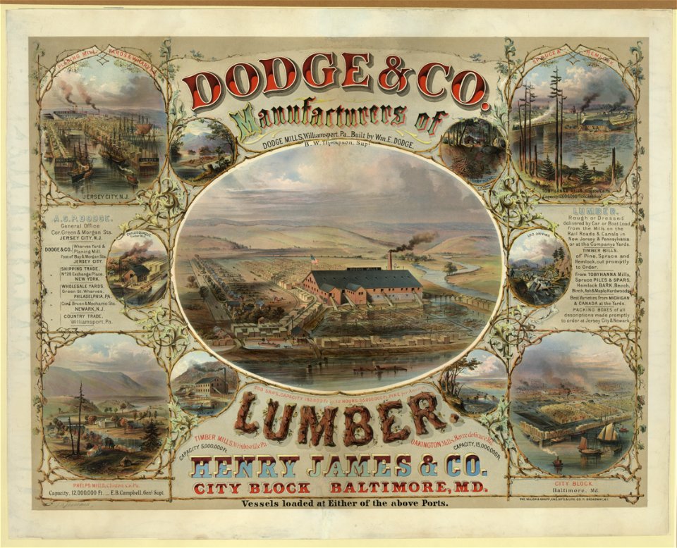 Dodge & Co. Manufacturers of lumber LCCN2003674423