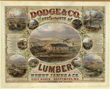Dodge & Co. Manufacturers of lumber LCCN2003674423