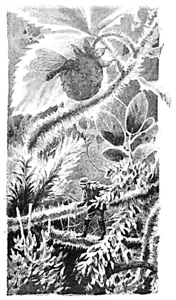 Doktór Muchołapski p181