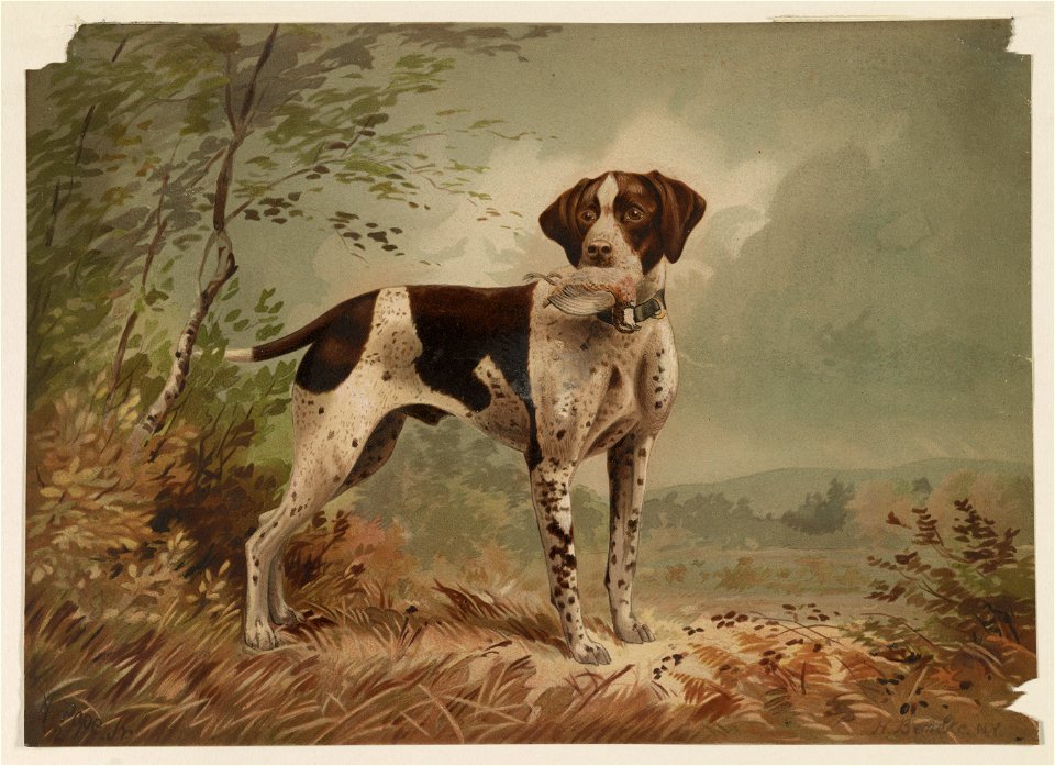 Dog LCCN2003680077