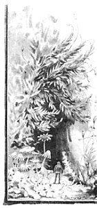 Doktór Muchołapski p187