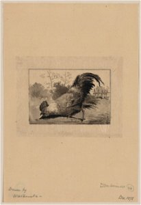 Dom. animals - drawn by Watanabe. LCCN2009630284