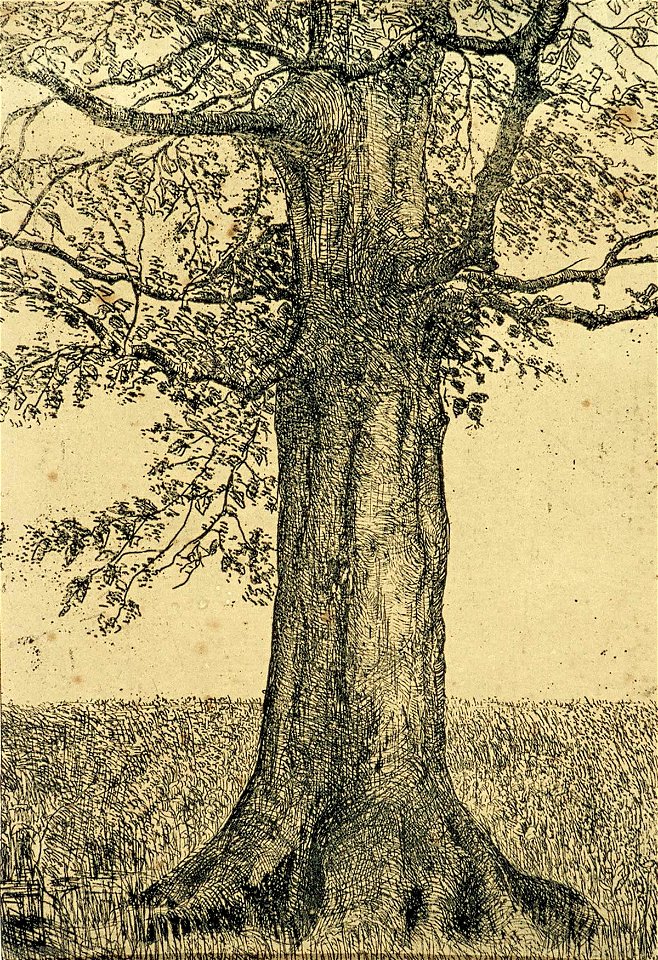 Tree by Theo van Doesburg Centraal Museum AB4203