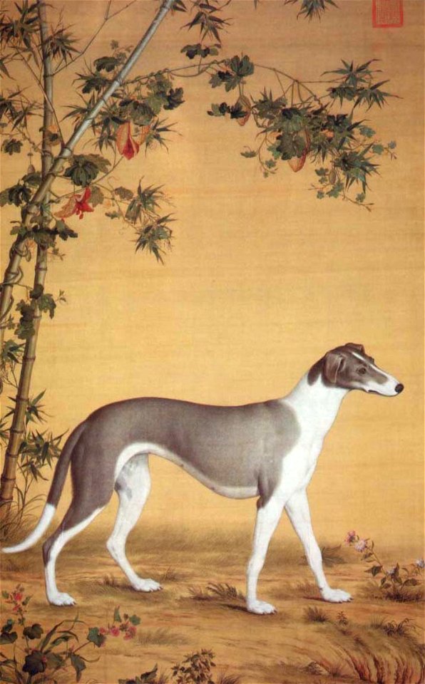 Dog by bamboo