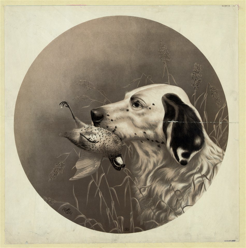Dog with bird in mouth LCCN2004669667