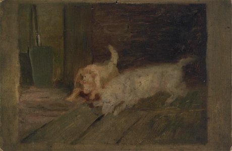 Dogs at play