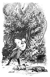 Doktór Muchołapski p191