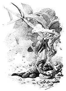 Doktór Muchołapski p282