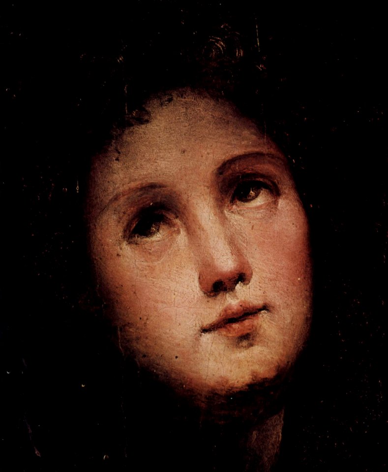Domenico Beccafumi 019