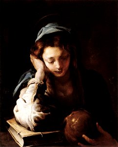Domenico Fetti - The Repentant St Mary Magdalene - WGA07851