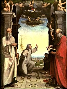 Domenico Beccafumi 025