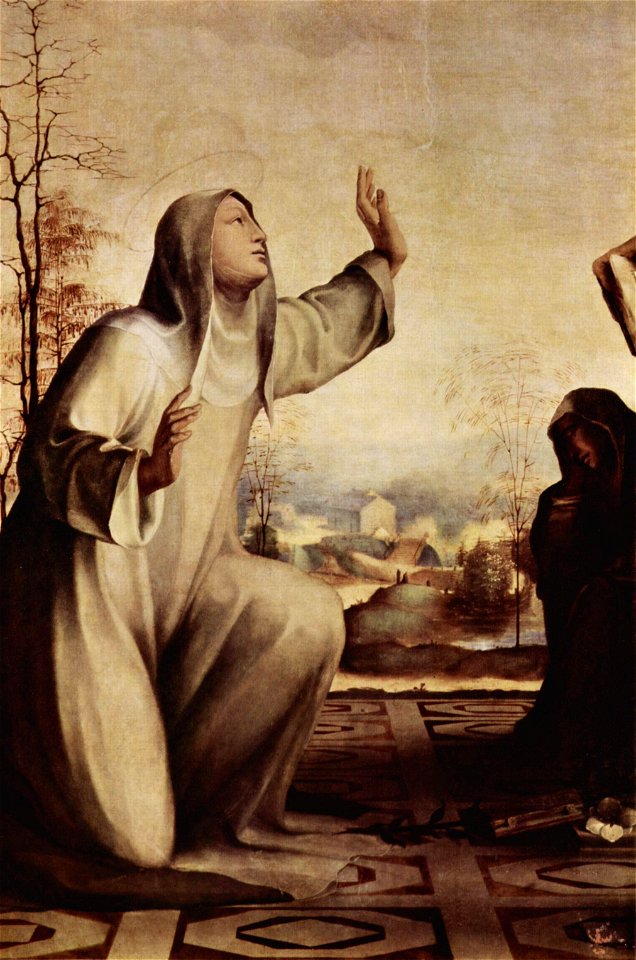 Domenico Beccafumi 026