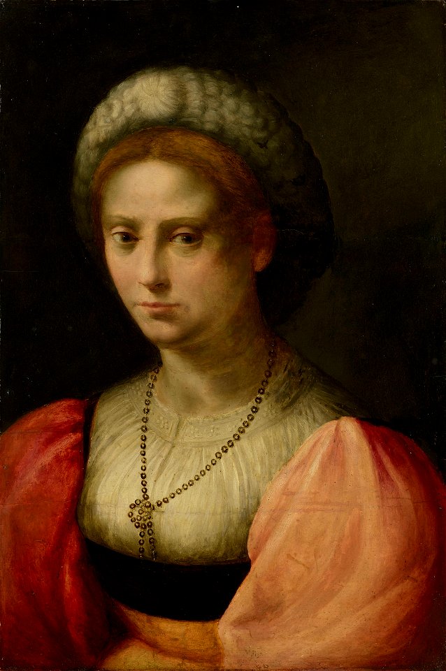 Domenico Puligo (Florence 1492-Florence 1527) - Portrait of a Lady - RCIN 402829 - Royal Collection