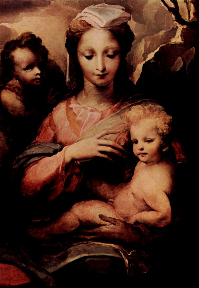 Domenico Beccafumi 057
