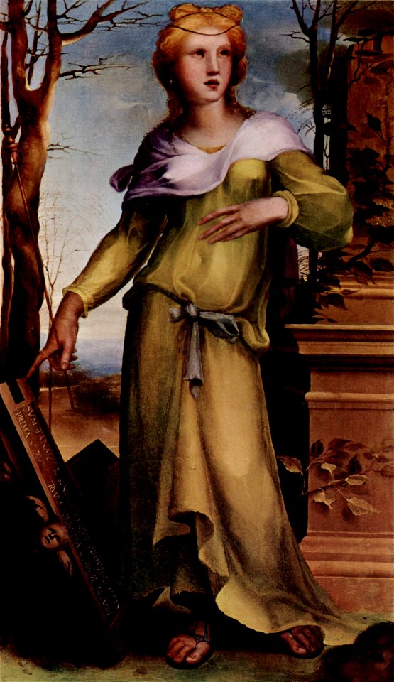 Domenico Beccafumi 065