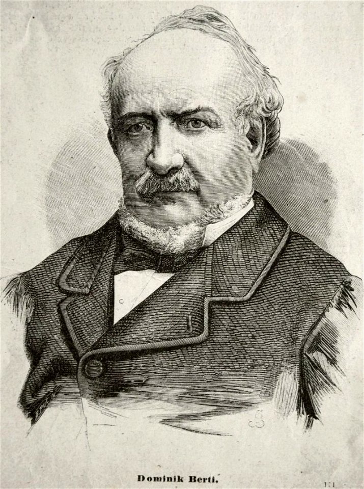 Domenico Berti