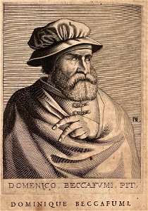 Domenico di Pace Beccafumi