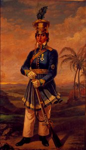 Domenico Failutti - Retrato de Maria Quitéria de Jesus Medeiros, Acervo do Museu Paulista da USP