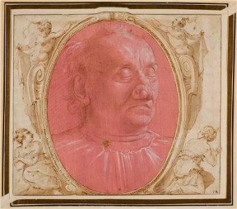 Domenico Ghirlandaio - Head of an Old Man - Google Art Project