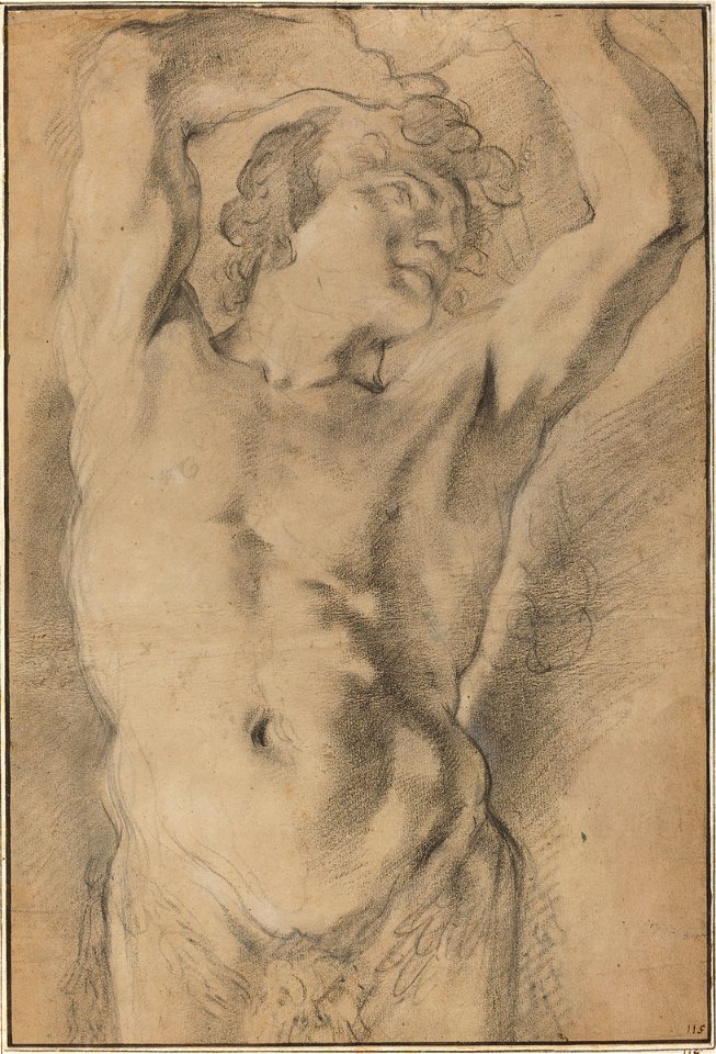 Domenico Maria Canuti - Male herm