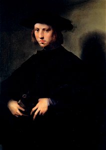 Domenico Puligo - Portrait of a Boy - WGA18528. Free illustration for personal and commercial use.