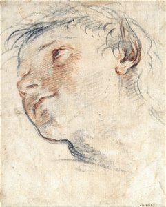 Domenico Maria Canuti - Study for the Head of a Faun - Google Art Project