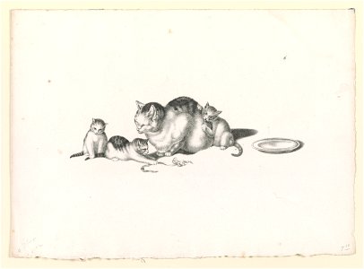 Domestic cat napping with three playful kittens and a saucer on the right LCCN2012645542. Free illustration for personal and commercial use.