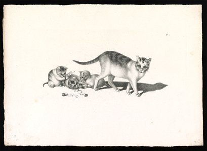 Domestic cat with three kittens, playing LCCN2012645543. Free illustration for personal and commercial use.