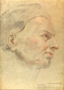 Domenico Maria Canuti - Cabeça de homem de perfil para direita