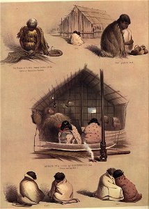 DOMESTIC SKETCHES, The New Zealanders Illustrated, 1847