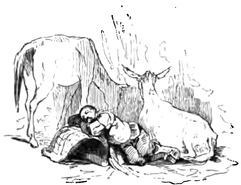 Don Chisciotte (Gamba-Ambrosoli) Vol.1-0119