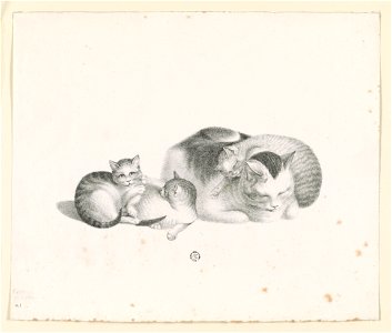 Domestic cat sleeping with three kittens resting LCCN2012645539. Free illustration for personal and commercial use.