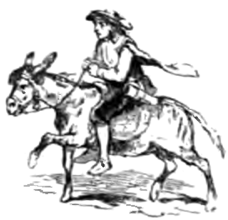 Don Chisciotte (Gamba-Ambrosoli) Vol.1-0205b