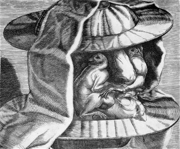 Dominicus Custos - Head