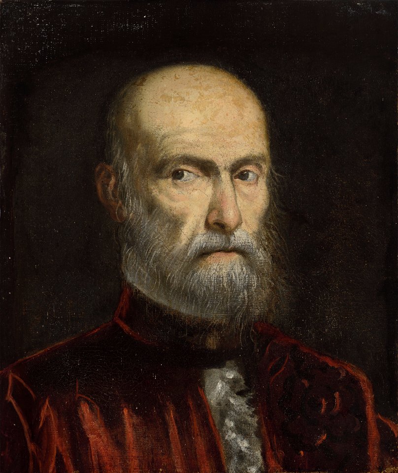 Domenico Tintoretto - A Procurator of San Marco - P27e24 - Isabella Stewart Gardner Museum