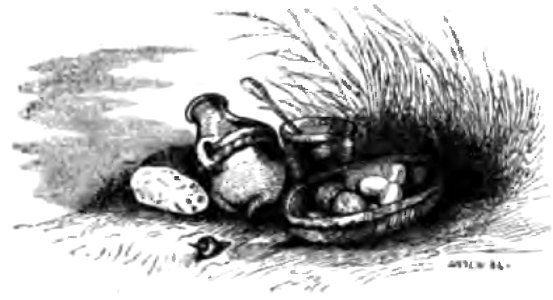 Don Chisciotte (Gamba-Ambrosoli) Vol.1-0294
