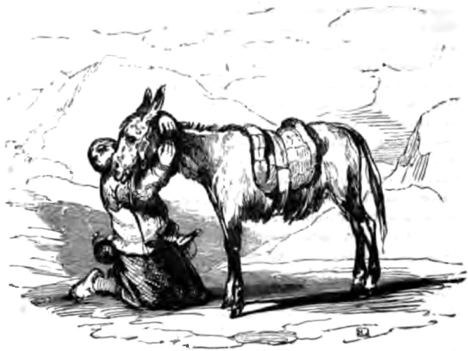 Don Chisciotte (Gamba-Ambrosoli) Vol.1-0337