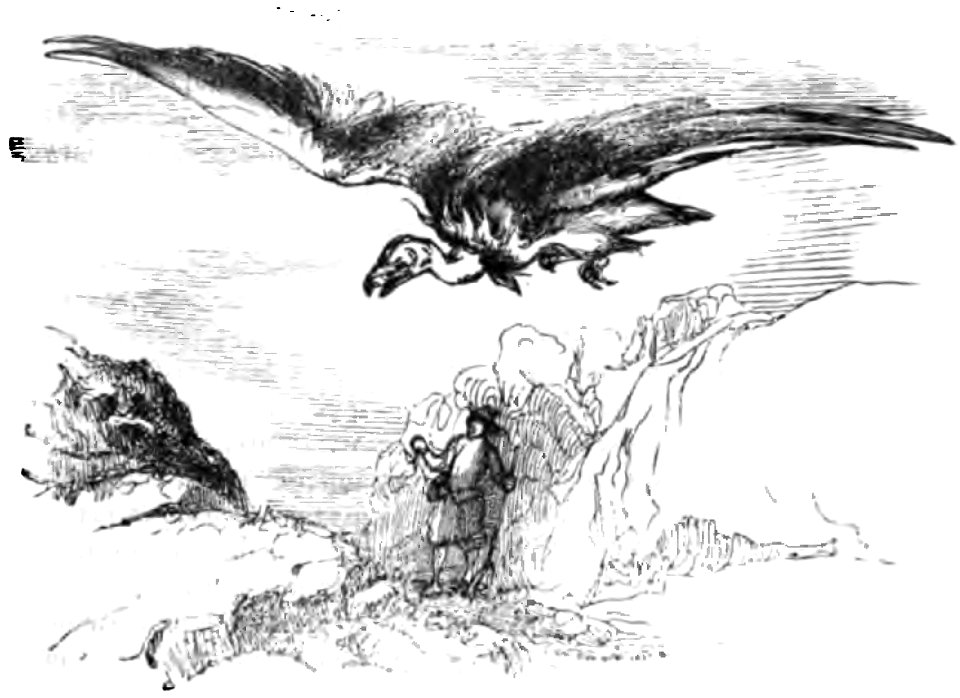 Don Chisciotte (Gamba-Ambrosoli) Vol.1-0346
