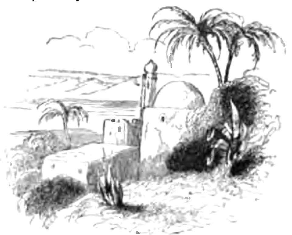 Don Chisciotte (Gamba-Ambrosoli) Vol.1-0462